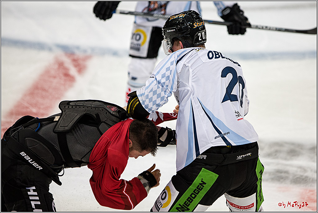 Koelner Haie - Straubing Tigers, 03.10.2016